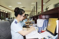 Records submitted through the Customs public online service system increased by 10 times