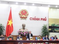 The Deputy Prime Minister, Mr. Truong Hoa Binh: The fight against smuggling is not commensurate with reality