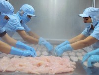 exporters are worried about a rapid increase in the price of pangasius catfishes