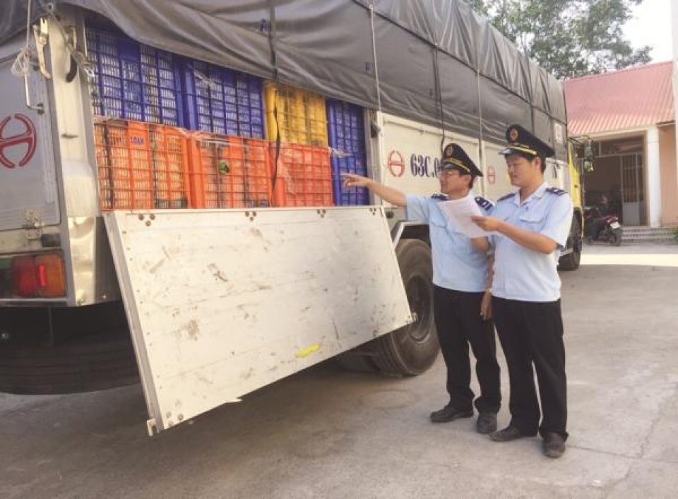 many perpetrators smuggling mangoes threaten customs officers