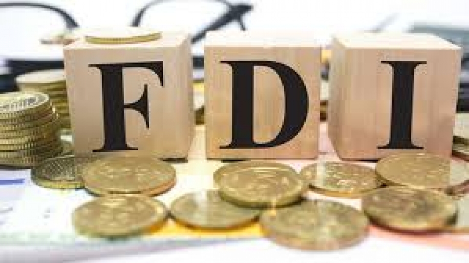 review the whole policy framework for fdi incentives