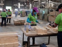 the wood industry takes opportunity from the green living trend