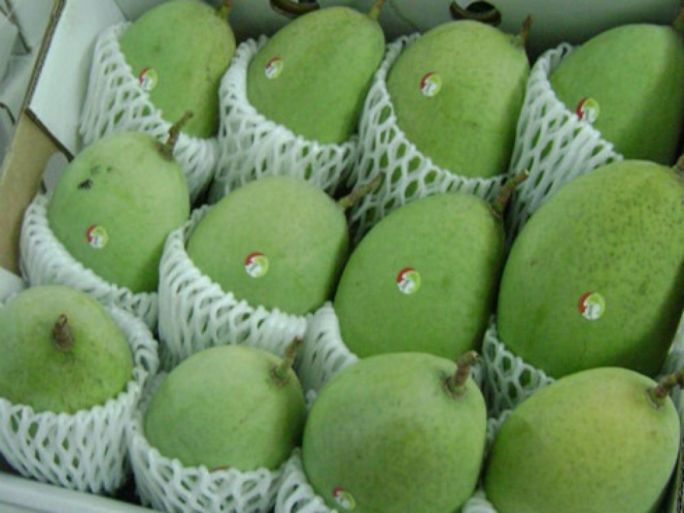 fruit exports to us japan up 80