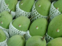 Fruit exports to US, Japan up 80%