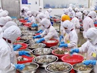Vietnamese enterprises dominating processed food market