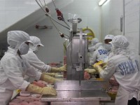 The fishery enterprises propose the amendment of regulation on conformity and food safety