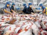 Vietnam boosts catfish exports to U.S., China, Brazil