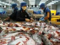 Export of farmed fish fetches nearly US$3.1 billion