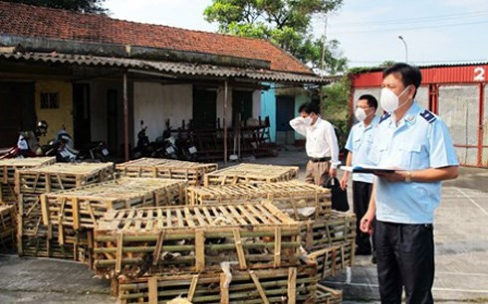 vietnam destroyed 1 ton of live cats chicken smuggled in from china
