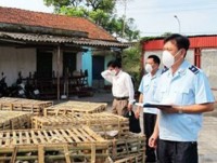 Vietnam destroyed 1 ton of live cats, chicken smuggled in from China