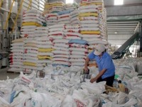 Vietnamese rice export in 2016 forecast to drop