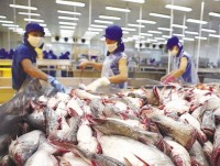 Seafood sector urges gov’t help