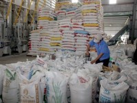 Vietnam’s rice exports dwindle 18.4% in seven months