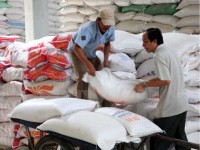 Vietnam’s rice exports fall during January-August