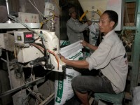 VN imports $2b of animal feed