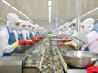 Fish and seafood exports jump 4.3%