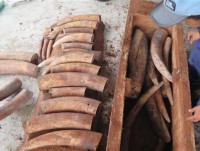 Two containers of smuggled ivory seized at Cat Lai port