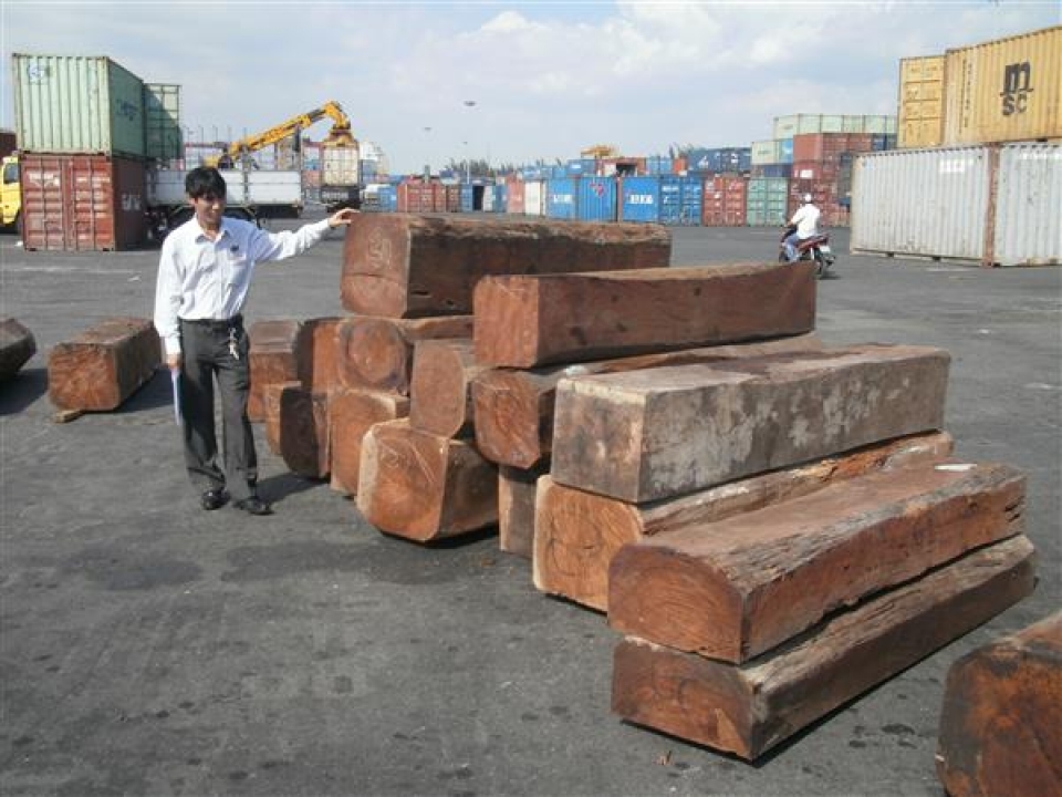 imported wood will be classified and subjected to risk management