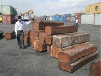 Imported wood will be classified and subjected to risk management