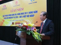 The Deputy Prime Minister: Violation of counterfeit goods due to loopholes in the Law