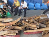 Ho Chi Minh City: Many new methods of smuggling occurred