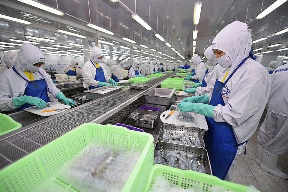 shrimp exports will be positive in 2020