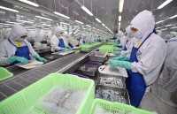 Shrimp exports will be positive in 2020