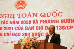 Totally destroy smuggling and arrest perpetrators: Deputy Prime Minister Truong Hoa Binh
