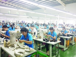 The leather and footwear industry has gradually penetrated deeply into the global supply chain