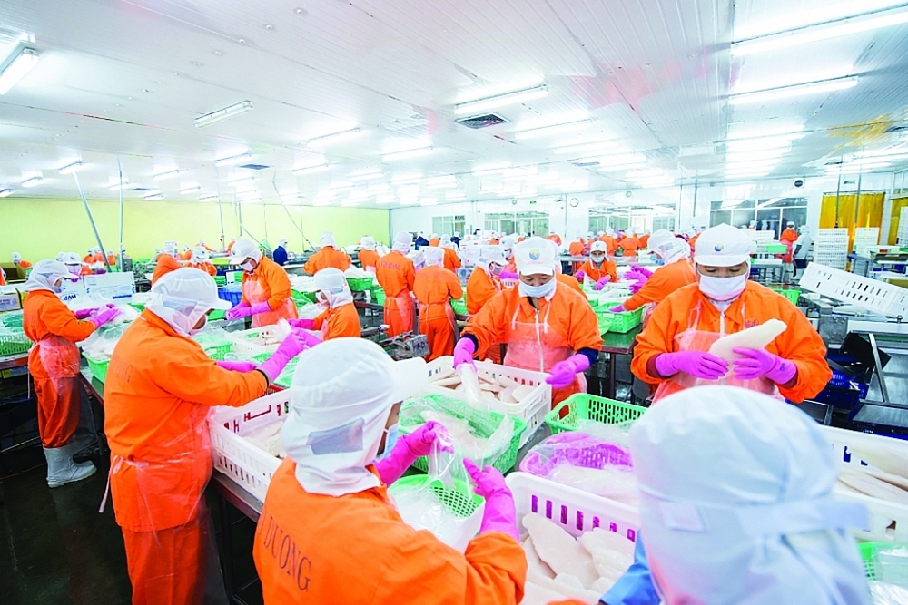 Seafood export enterprises achieve spectacular results