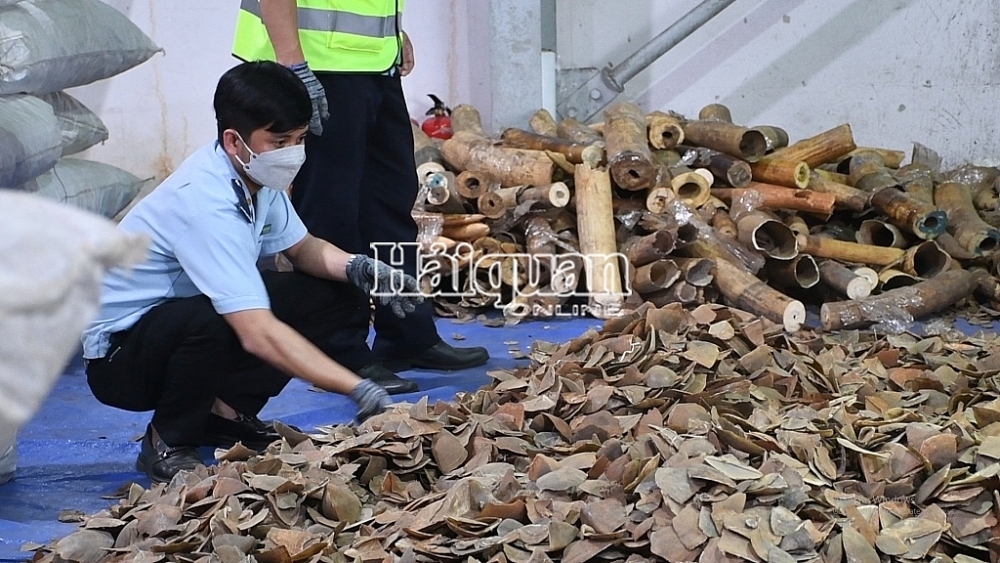 Da Nang Customs seizes over 6.6 tons of suspected pangolin scales and ivory