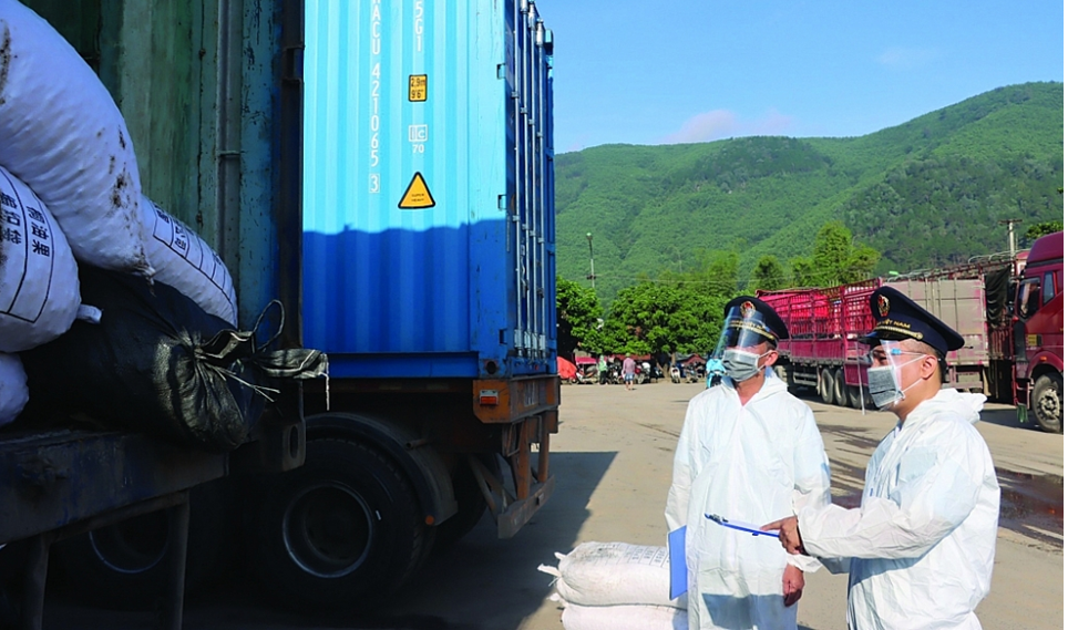 Quang Ninh Customs department contributes to the development of the Northeast region