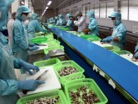 Seafood exports to China expected to reach top of "billions"