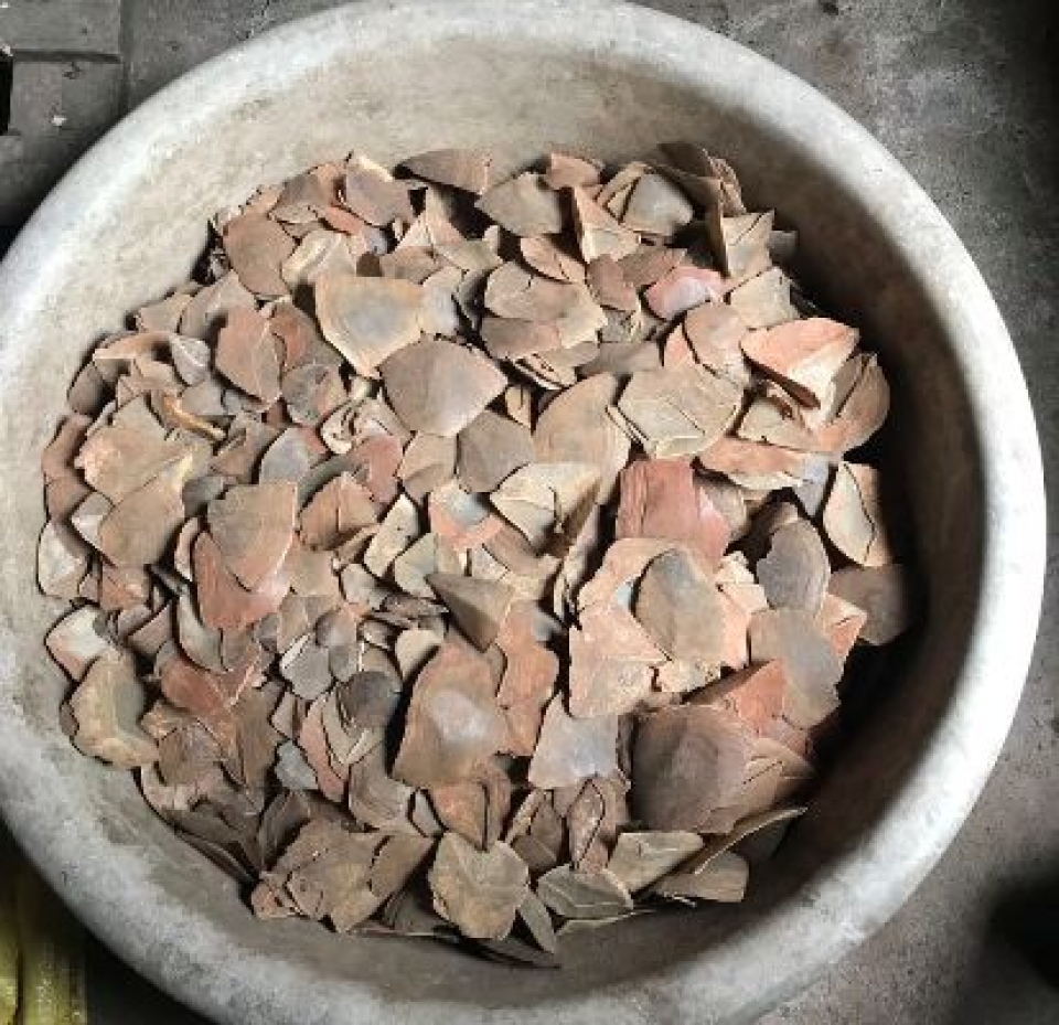 prosecuting case of hiding 316 kg pangolin scales at a farm