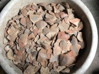 Prosecuting case of  hiding 316 kg pangolin scales at a farm