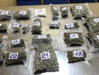Detecting a shipment of marijuana