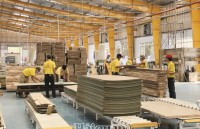Remove manpower bottlenecks to increase surplus for wood industry