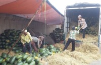 Vietnamese agriculture suffers from corona epidemic