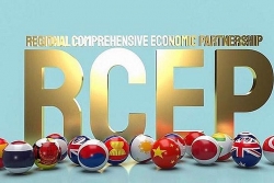 Rules of goods origin in RCEP officially issued