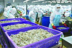 Seafood enterprises have more opportunities to expand market share in China