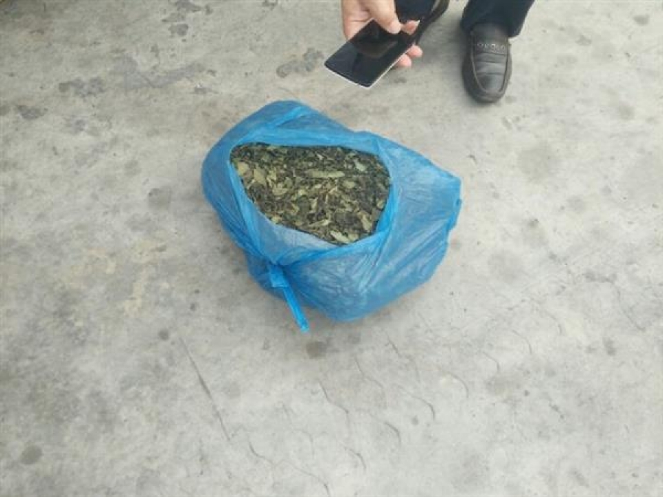 70kg of dried leaves suspected as khat leaves were detected in a shipment