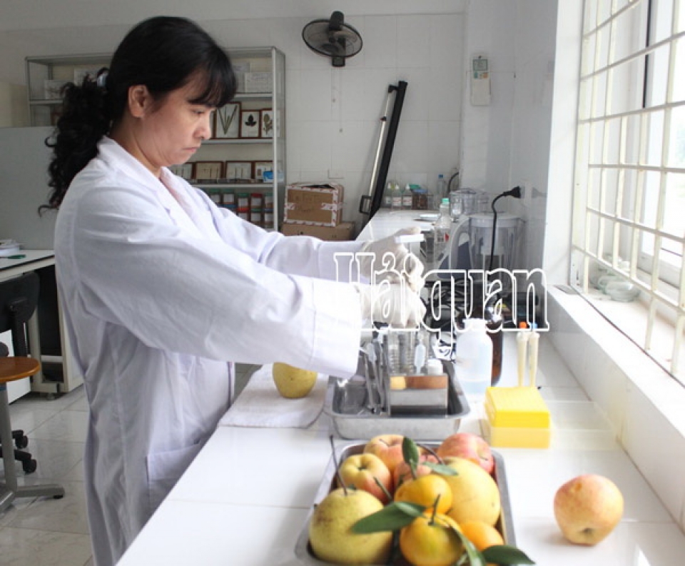 the general department of vietnam customs guides implementation of decree 15 on food safety