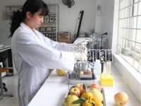 The General Department of Vietnam Customs guides implementation of Decree 15 on food safety