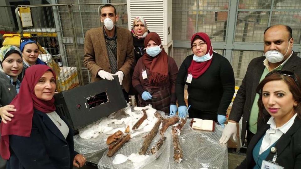 egyptian customs finds smuggled mummy remains stuffed in the most bizarre place