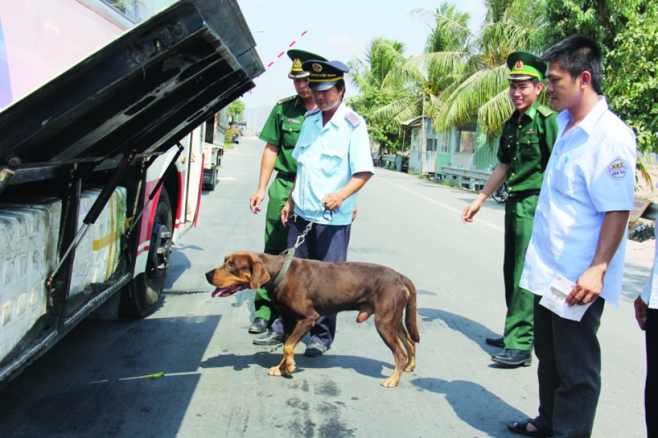 an giang customs border security join hands to maintain border gate security