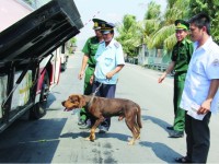 An Giang Customs - Border Security join hands to maintain border gate security