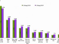 What are notable points in import and export turnover in the second half of February 2019