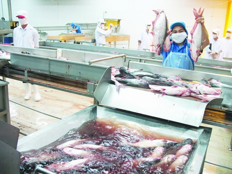 which key helps sustainable catfish exports