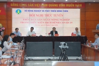Vietnamese agriculture continues to face difficulties because of Covid-19