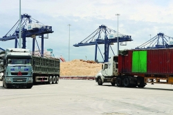 Vung Ang Customs performs customs clearance for 146,540 tons of wood chips